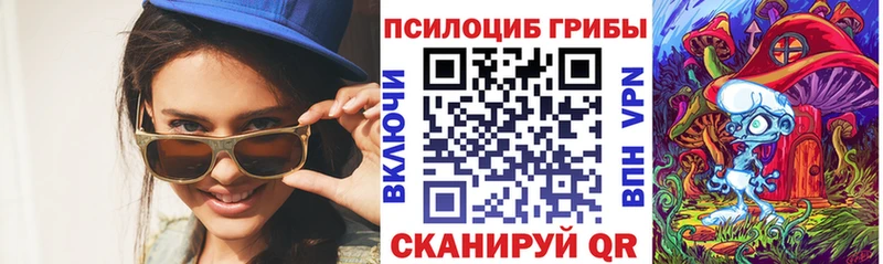 Купить где  Суворов  Псилоцибиновые грибы ЛСД 